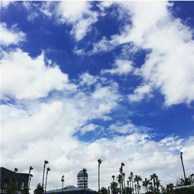 天博网页版入口官网